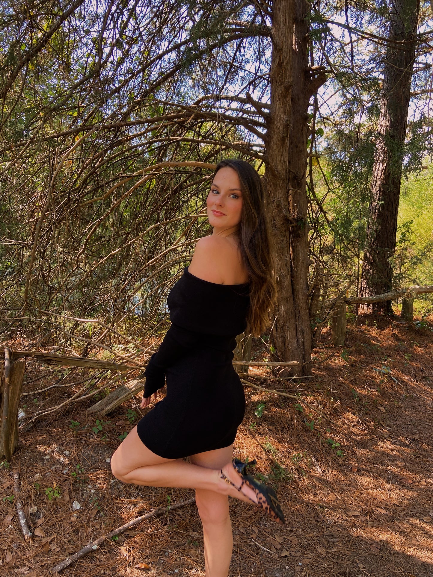 S & M LEFT | Tatum Mini Dress