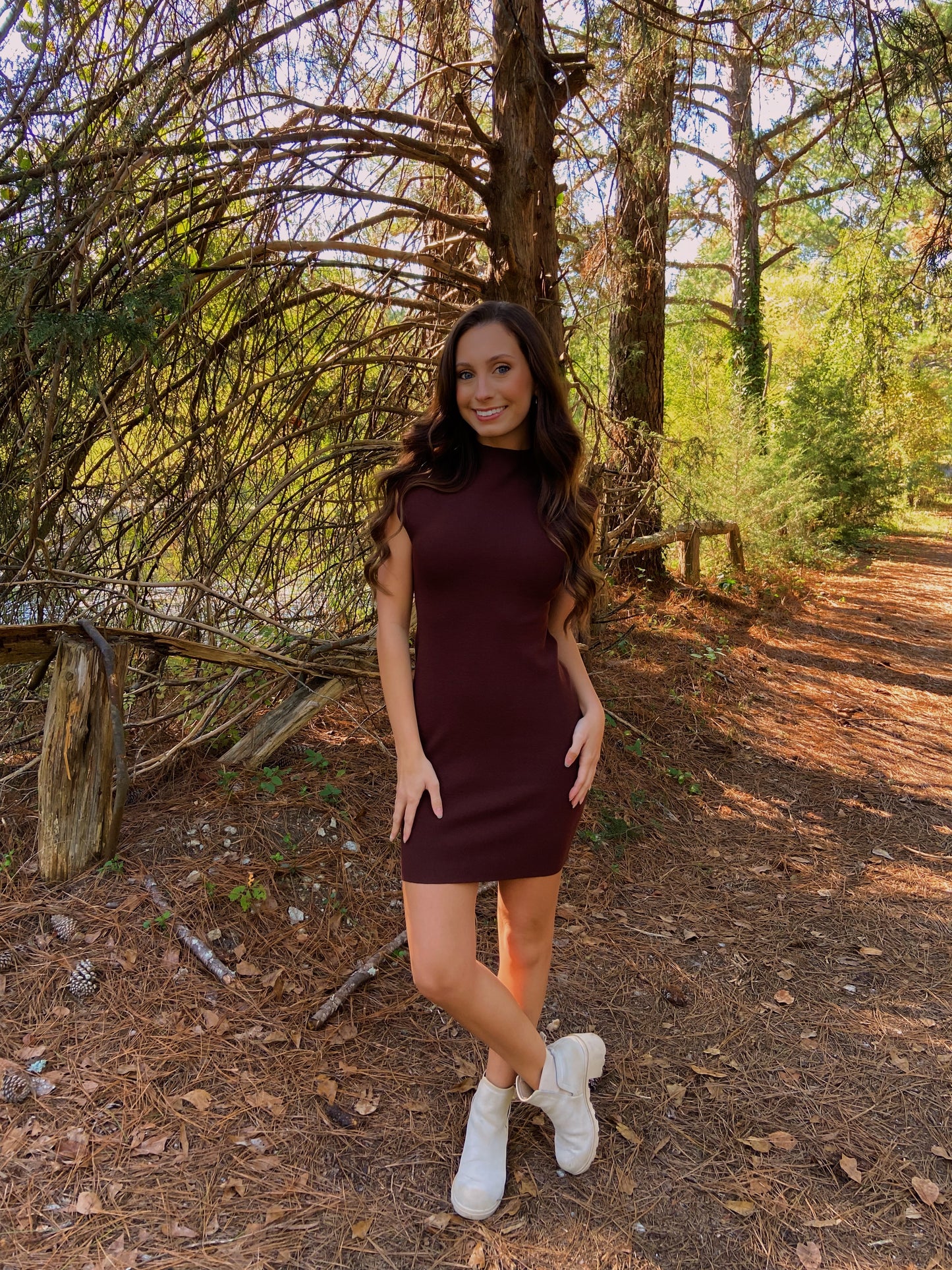 M & L LEFT | Bren Mini Dress - Brown