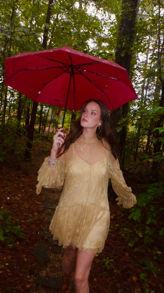 Garden Lace Dress