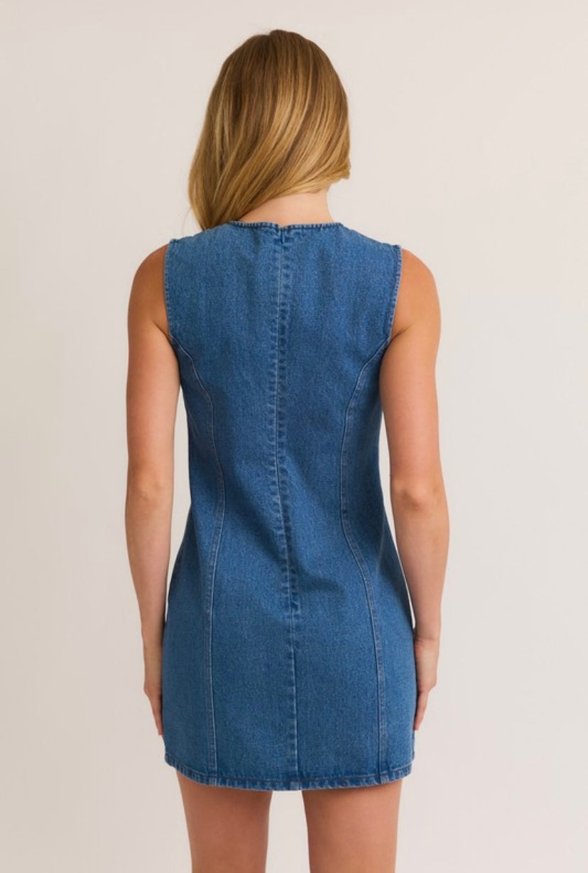 Dani Denim Mini Dress