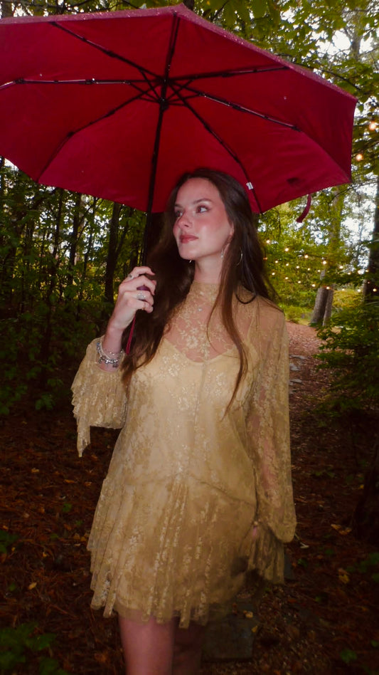 Garden Lace Dress