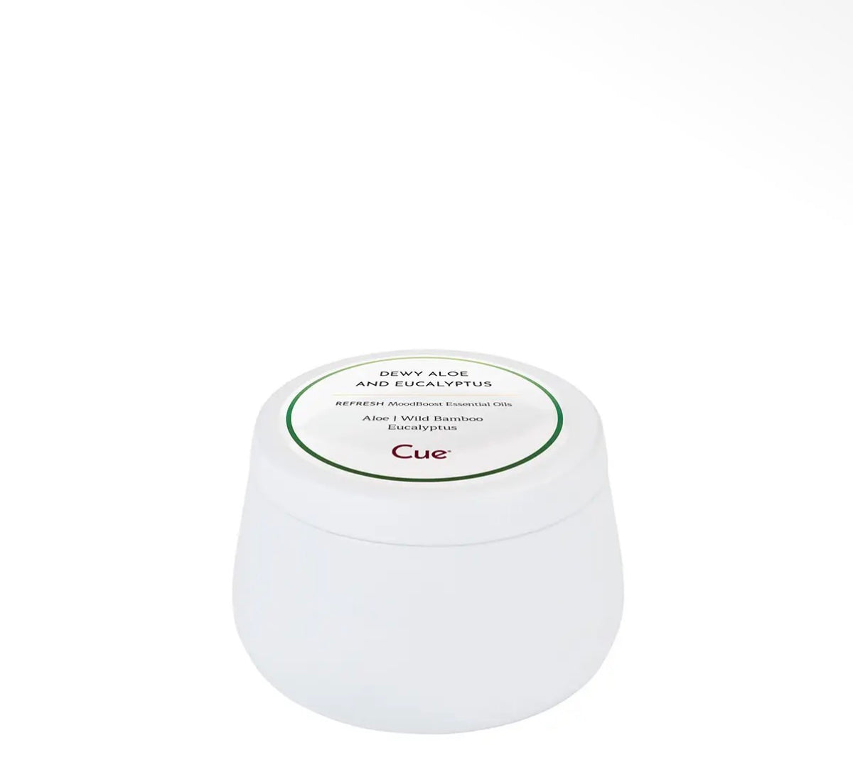 Dewy Aloe and Eucalyptus Candle