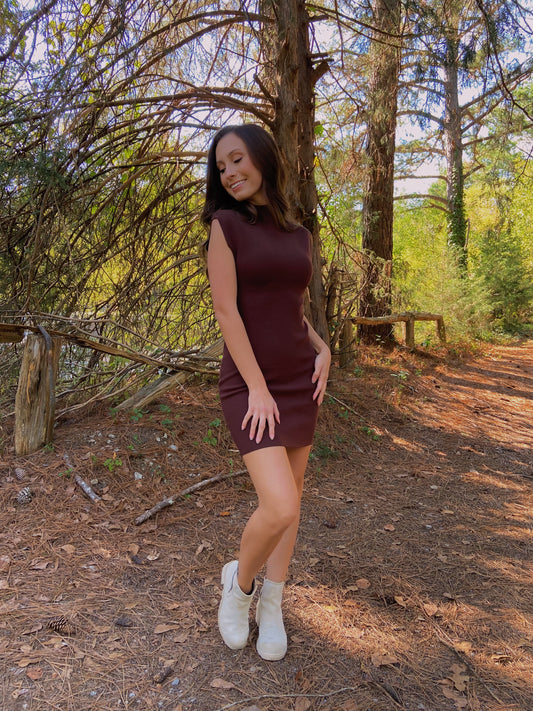 M & L LEFT | Bren Mini Dress - Brown