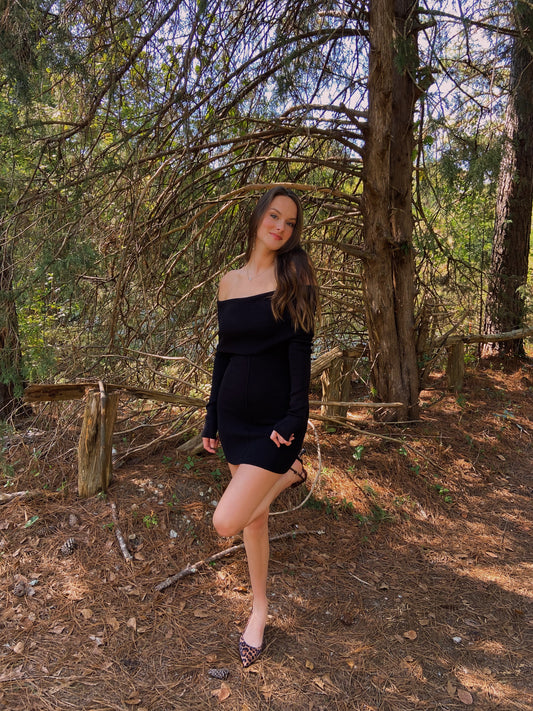S & M LEFT | Tatum Mini Dress