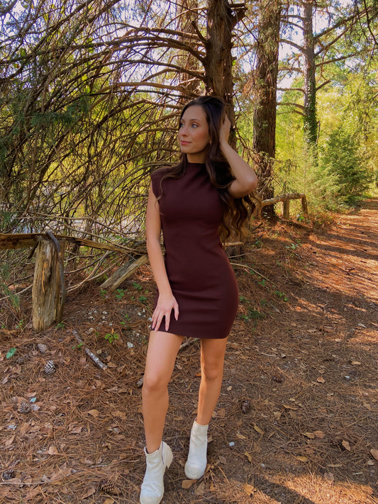 M & L LEFT | Bren Mini Dress - Brown