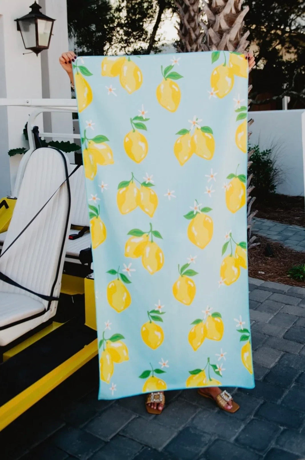 Lemons Reversible Microfiber Beach Towel